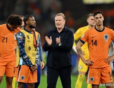破案了！荷兰含冤出局真相揭晓，球迷呼吁重赛，欧洲杯官方已回应-欧洲杯